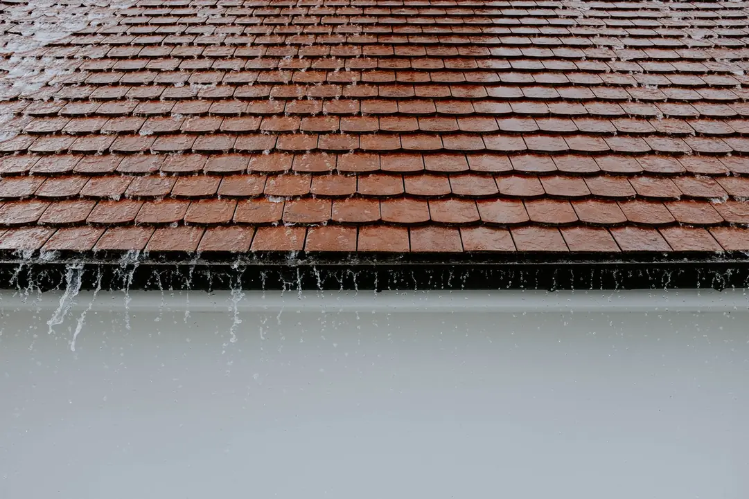 Égout d'une toiture en tuiles plates et sa gouttière, sous la pluie
