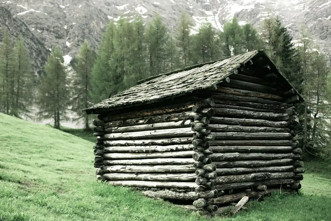 Chalet d'alpage en rondins dont la toiture est colonisée par la mousse