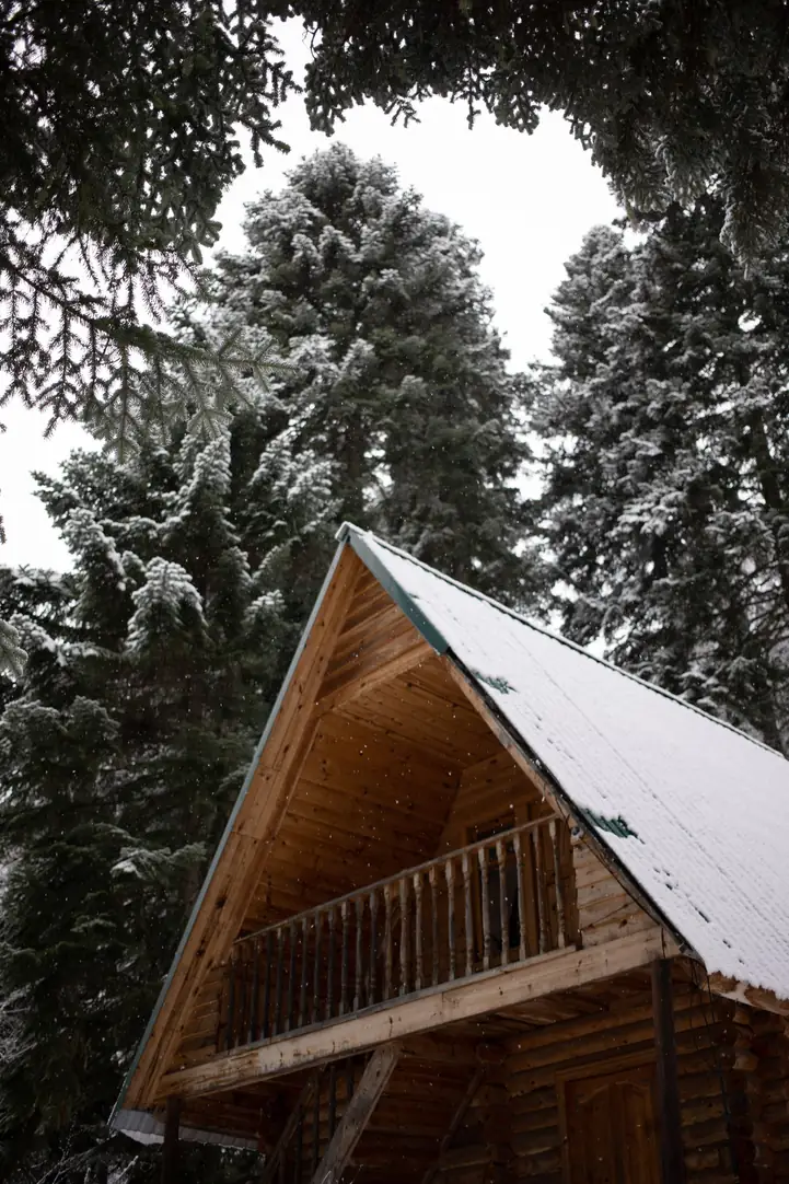 Pignon de chalet en bois enneigé entre les sapins